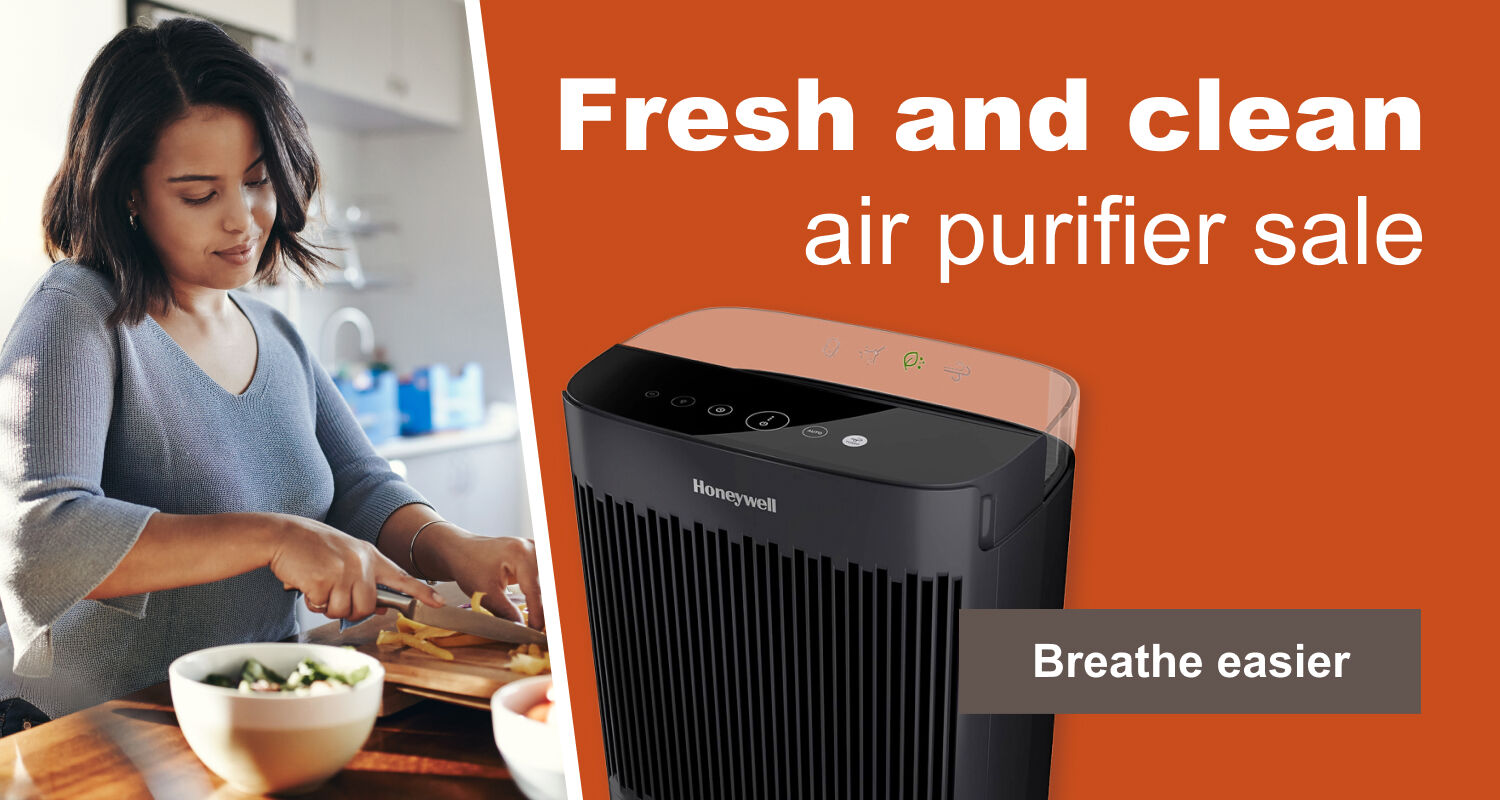 Air purifier discount 2025